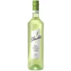 Blanchet Blanc De Blancs Weißwein Trocken 0,75L 1 Blanchet Blanc De Blancs Weißwein Trocken 0,75L -Spirituosengeschäft 4001731315995 blanchet trocken bt 075l ve