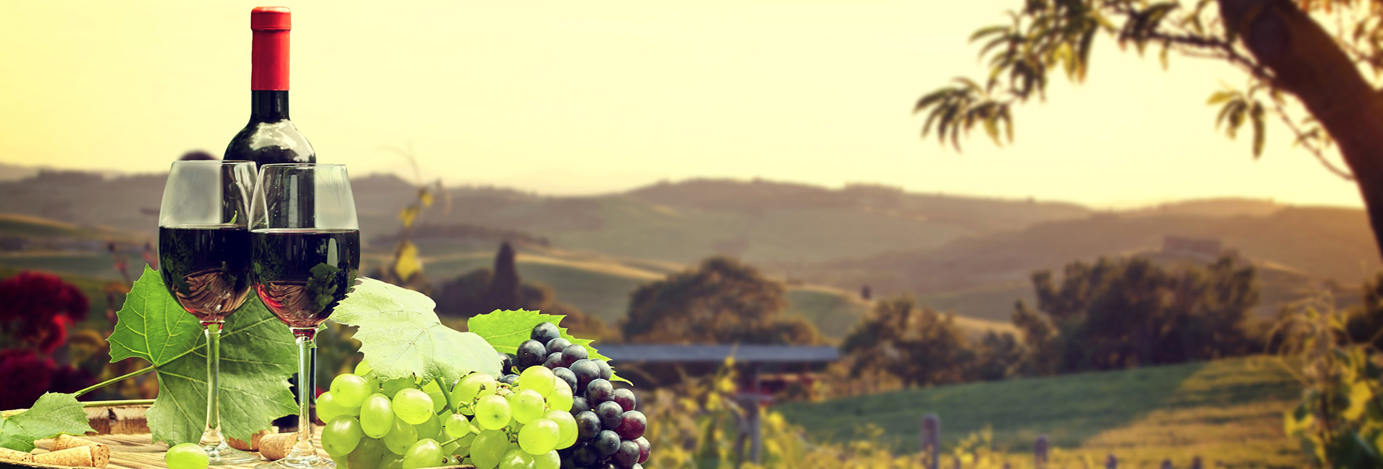 Spirituosengeschäft 2 Spirituosengeschäft -Spirituosengeschäft 1